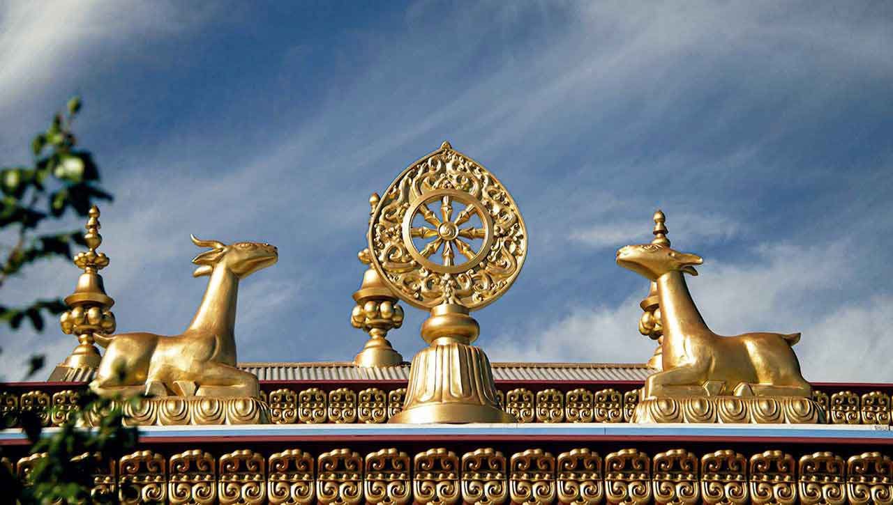 Deer & dharmachakra